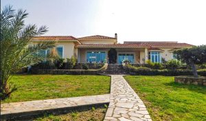 yard of the villa in north cyprus2 (2)